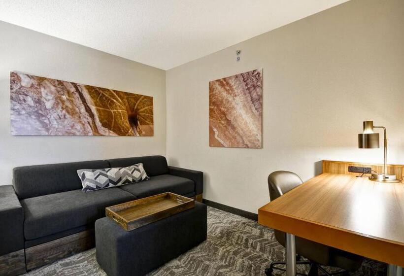 מיטת קינג בסוויטה, Springhill Suites Lexington Near The University Of Kentucky