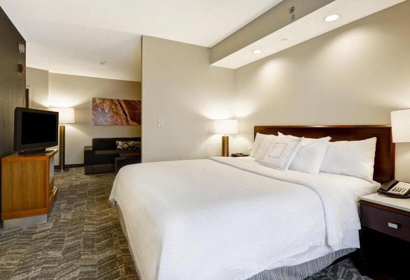 Люкс Кровать Кинг, Springhill Suites Lexington Near The University Of Kentucky