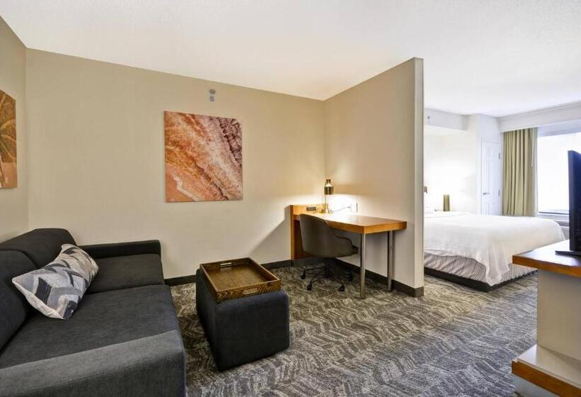 מיטת קינג בסוויטה, Springhill Suites Lexington Near The University Of Kentucky