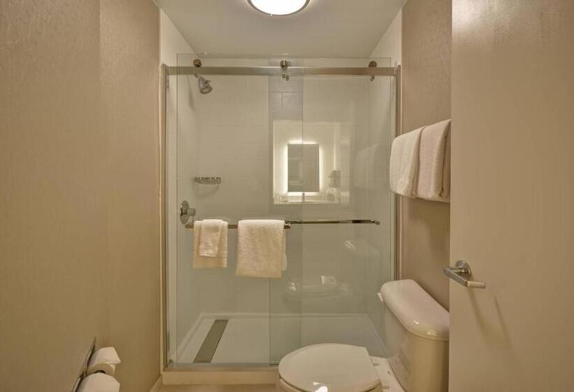 Люкс, Springhill Suites Lexington Near The University Of Kentucky
