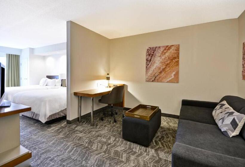 Люкс, Springhill Suites Lexington Near The University Of Kentucky