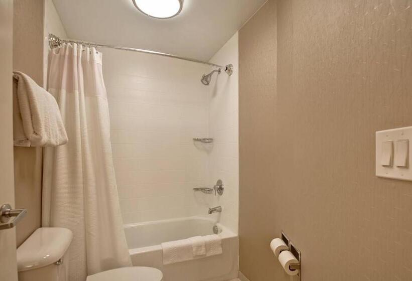 חדר סופריור, Springhill Suites Lexington Near The University Of Kentucky