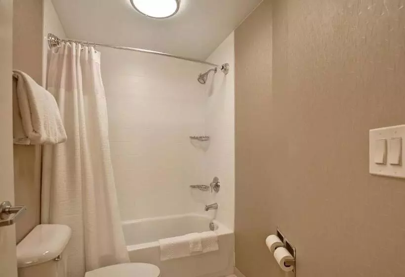 身障者適用スイートルーム, Springhill Suites Lexington Near The University Of Kentucky