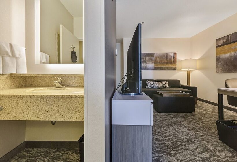 Люкс, Springhill Suites By Marriott Sacramento Natomas