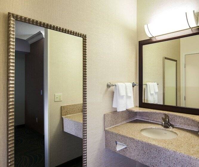 Люкс, Springhill Suites By Marriott Sacramento Natomas