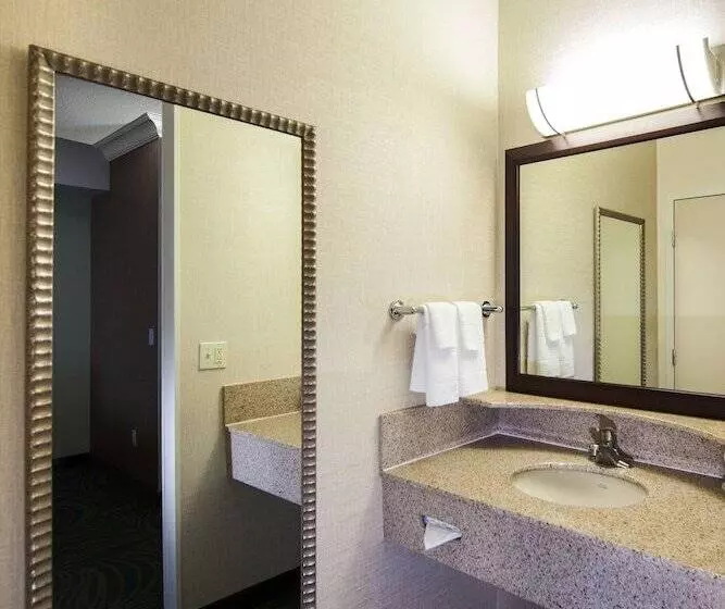 سوییت, Springhill Suites By Marriott Sacramento Natomas