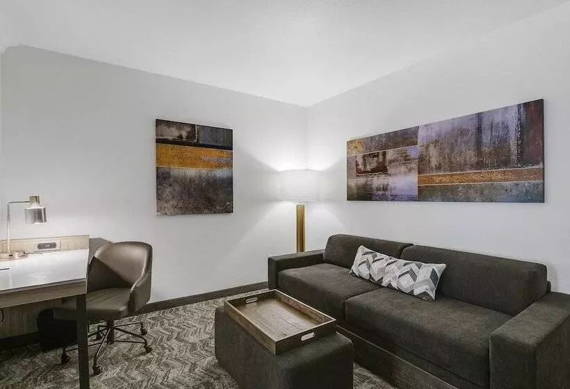 سوییت, Springhill Suites By Marriott Sacramento Natomas
