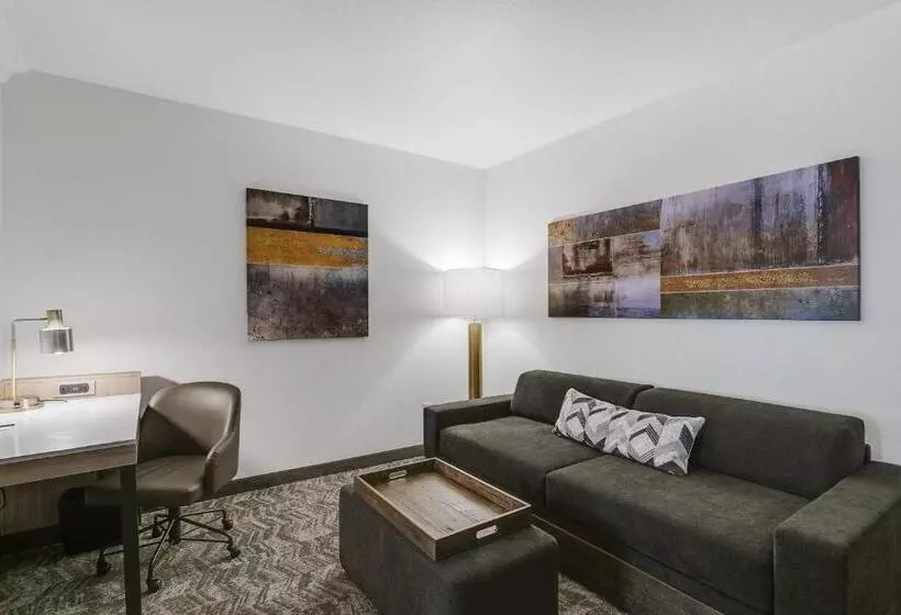 سوئیت با تخت بزرگ, Springhill Suites By Marriott Sacramento Natomas
