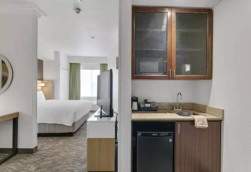 سوئیت با تخت بزرگ, Springhill Suites By Marriott Sacramento Natomas