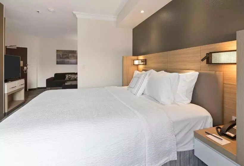 سوئیت با تخت بزرگ, Springhill Suites By Marriott Sacramento Natomas