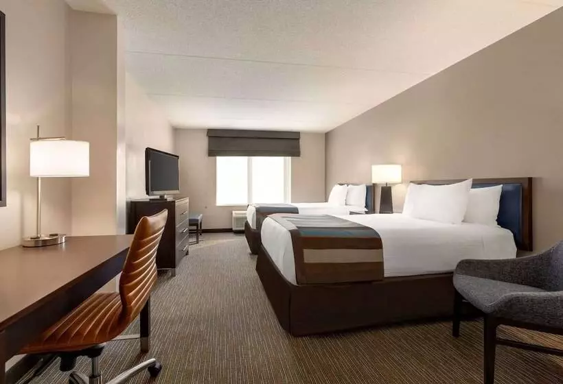 اتاق استاندارد با 2 تخت دوبل, Wingate By Wyndham Wilmington