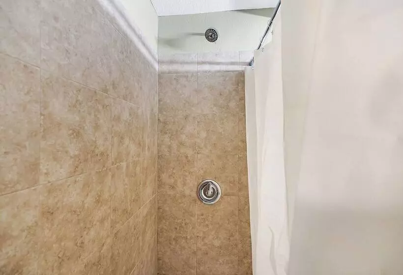 اتاق استاندارد, Safari Inn  Chico