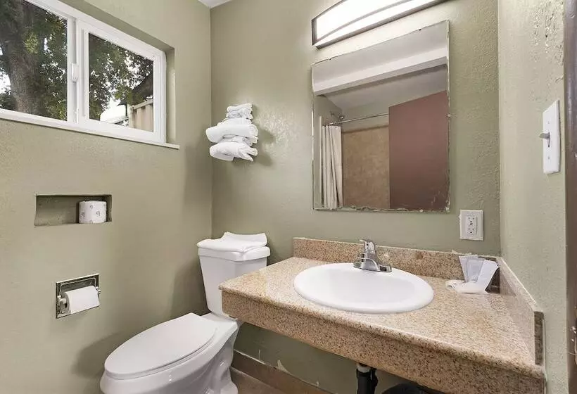 اتاق استاندارد, Safari Inn  Chico