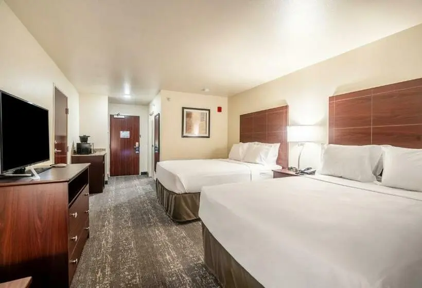 スタンダードルーム, Comfort Inn & Suites Morgan