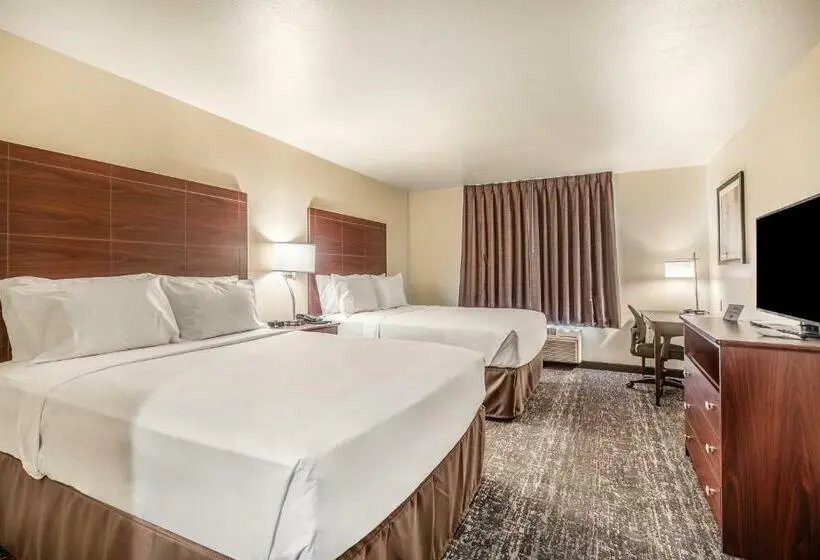スタンダードルーム, Comfort Inn & Suites Morgan