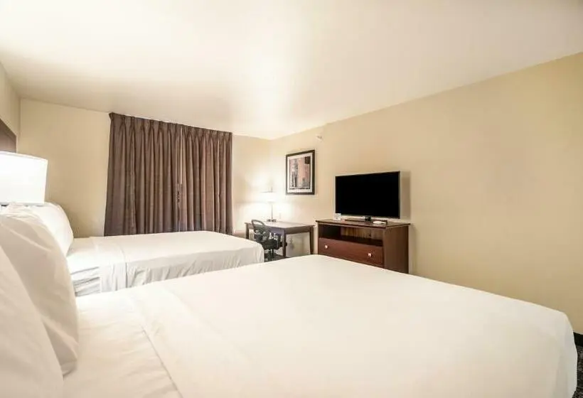 スタンダードルーム, Comfort Inn & Suites Morgan