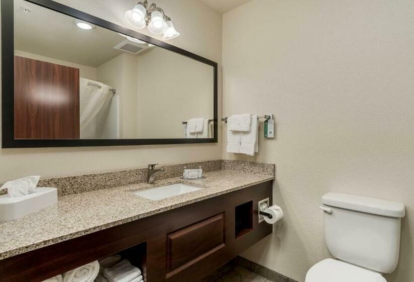 스탠다드 룸, Comfort Inn & Suites Morgan