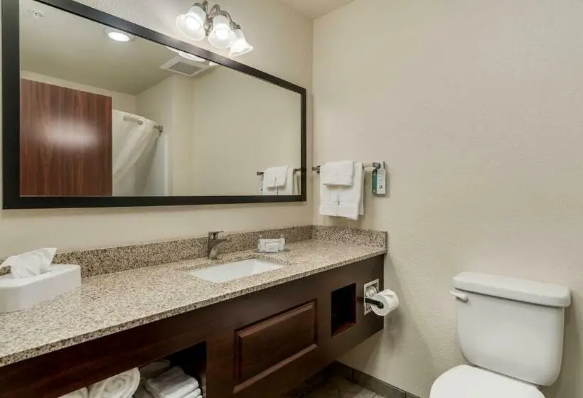スタンダードルーム, Comfort Inn & Suites Morgan