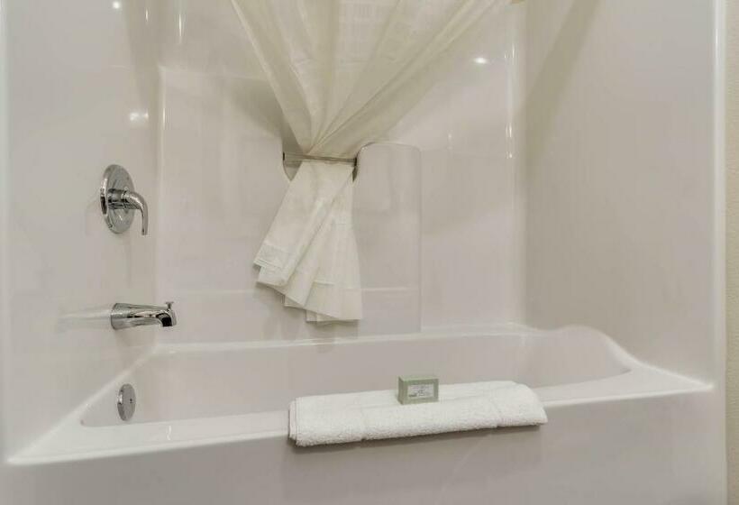 스탠다드 룸, Comfort Inn & Suites Morgan