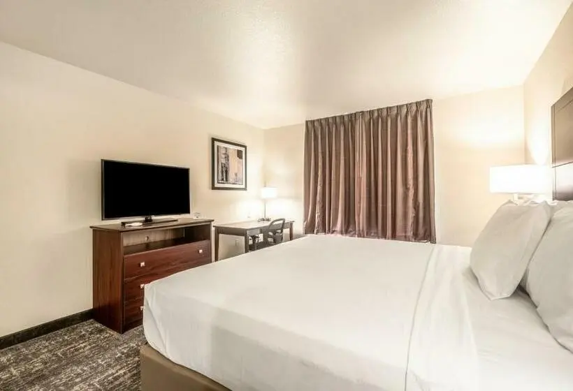 身障者適用キングサイズベッドルーム, Comfort Inn & Suites Morgan