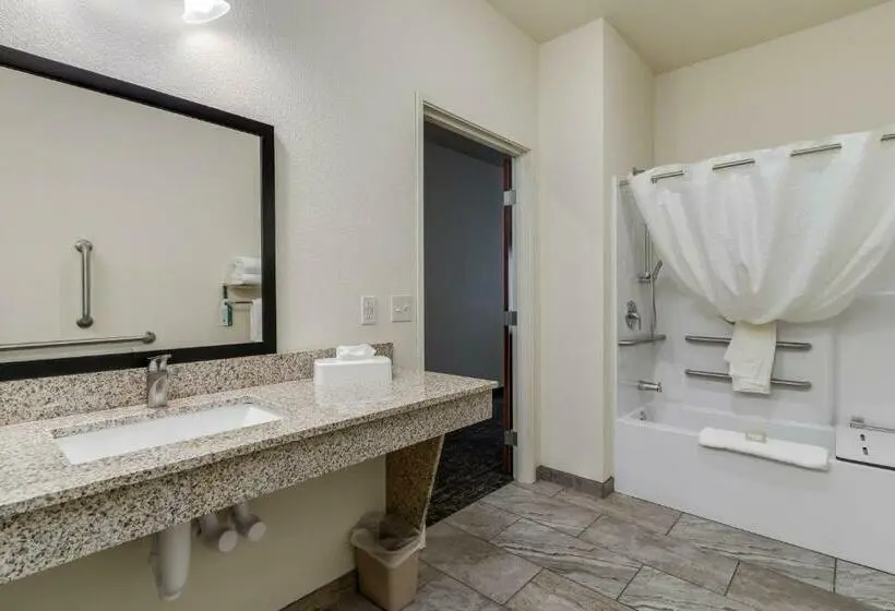 身障者適用スタンダードルーム, Comfort Inn & Suites Morgan