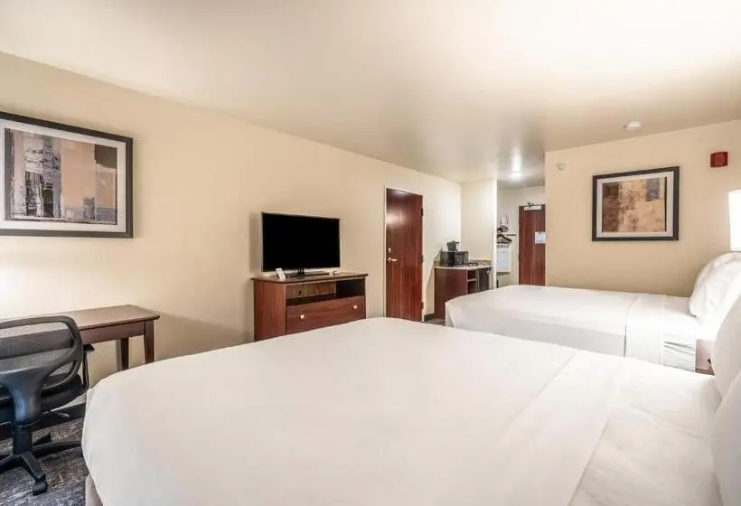 身障者適用スタンダードルーム, Comfort Inn & Suites Morgan