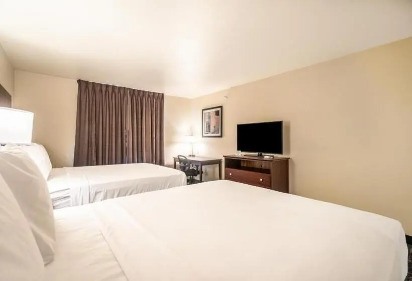 身障者適用スタンダードルーム, Comfort Inn & Suites Morgan