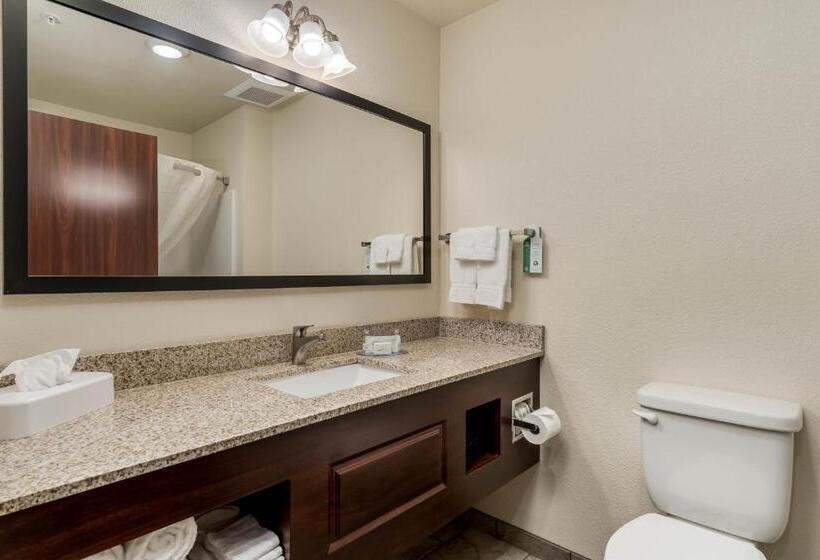 스위트, Comfort Inn & Suites Morgan