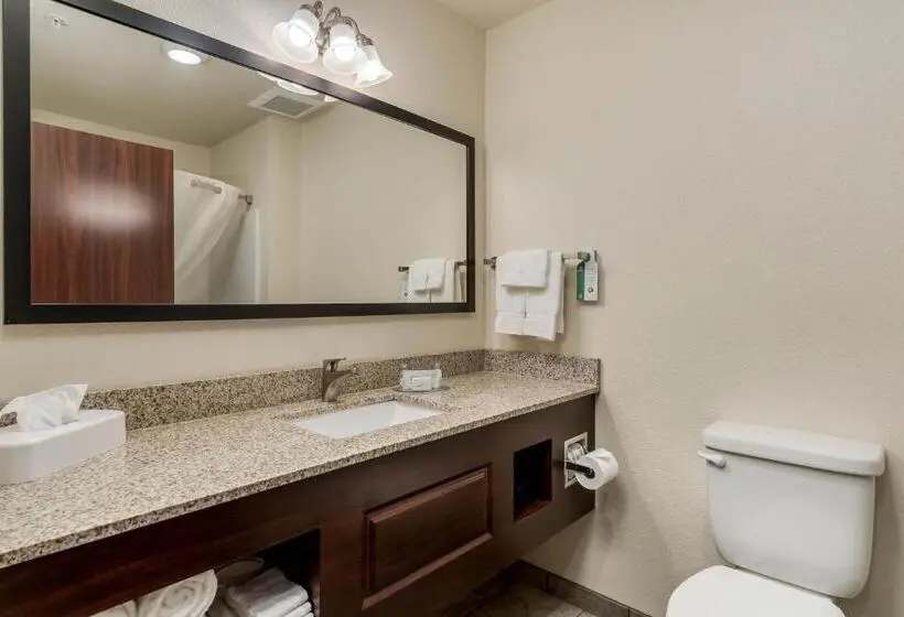 スイート, Comfort Inn & Suites Morgan