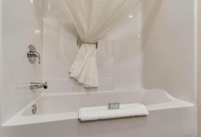 스탠다드 룸 킹사이즈 침대, Comfort Inn & Suites Morgan