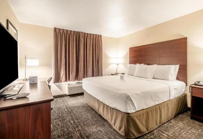 キングサイドベッドのスタンダードワンルーム, Comfort Inn & Suites Morgan