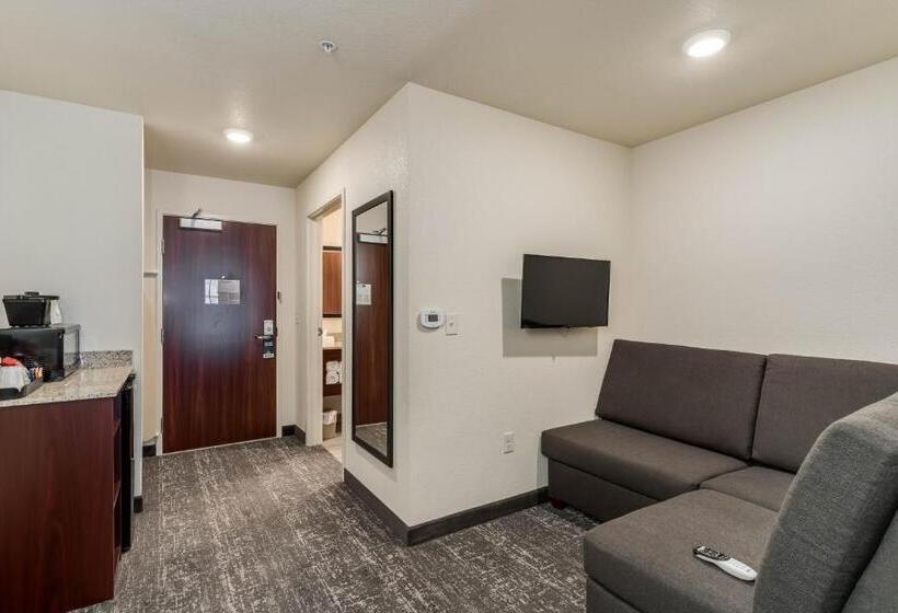 Студия Стандарт, Comfort Inn & Suites Morgan