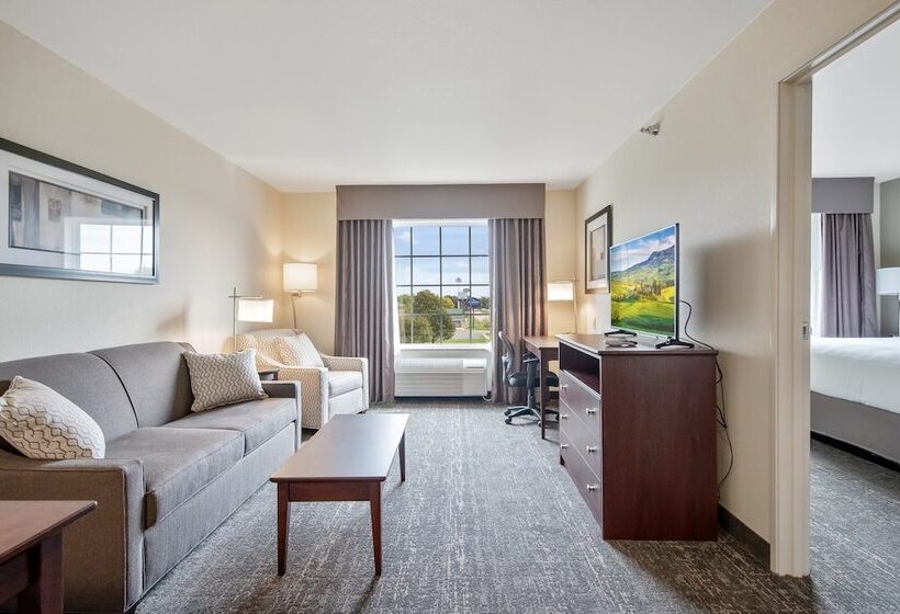 Люкс, Comfort Inn & Suites Morgan