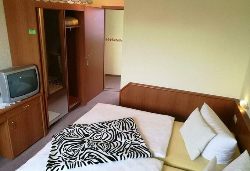 Номер Стандарт, Pension Schulze