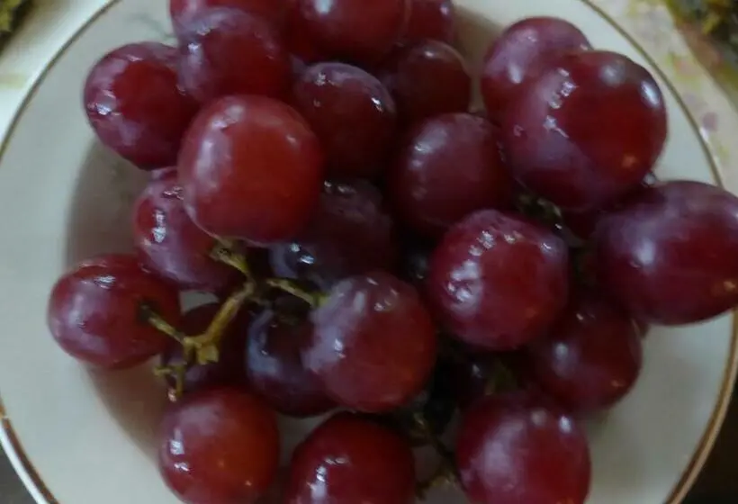 デラックスルーム, Mulberry Lavender Farm And B&b