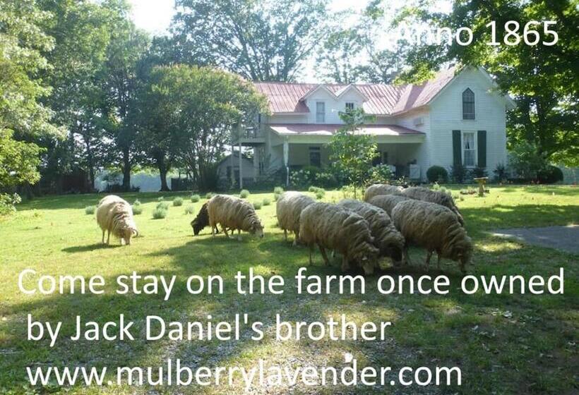 غرفة قياسية رباعية, Mulberry Lavender Farm And B&b