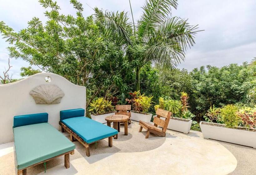 غرفة قياسية, Casa Caracola