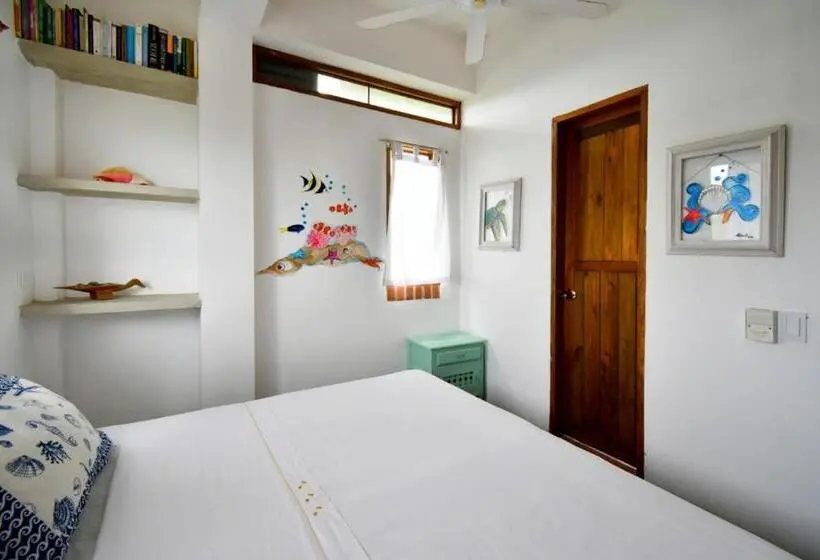 スタンダードルーム, Casa Caracola