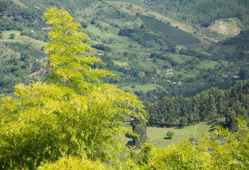 غرفة عائلية, Madre Laura Jericó