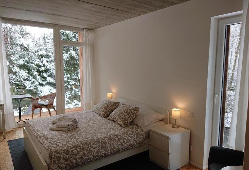 اتاق استاندارد با بالکن, Penzion Kůlna