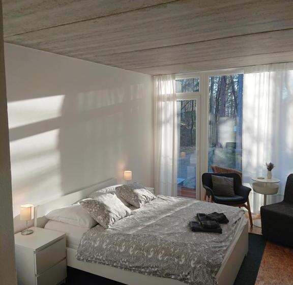 اتاق استاندارد با بالکن, Penzion Kůlna