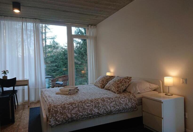 اتاق استاندارد با بالکن, Penzion Kůlna