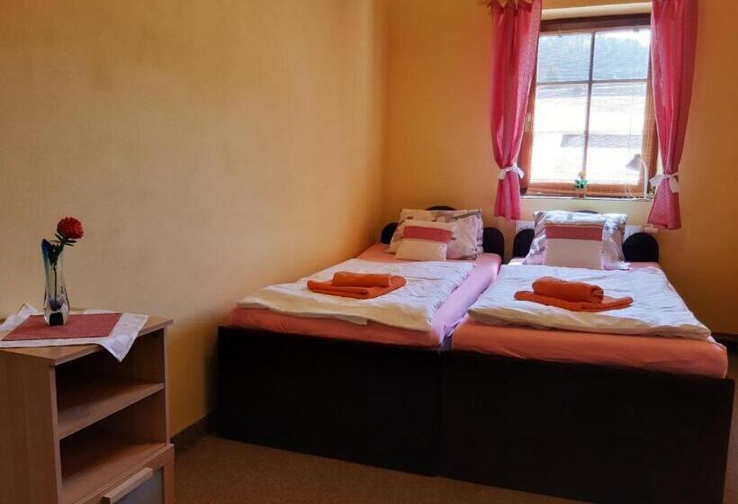 غرفة قياسية, Wellness Penzion Stonozka