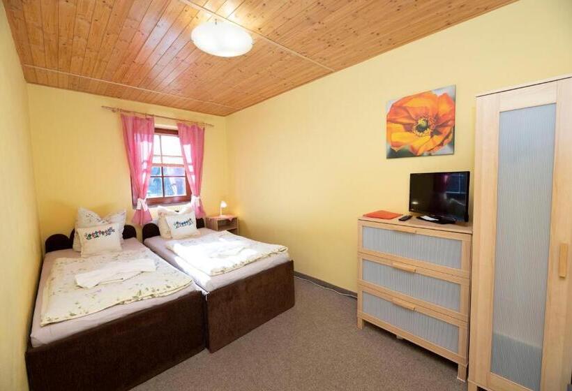 غرفة قياسية, Wellness Penzion Stonozka