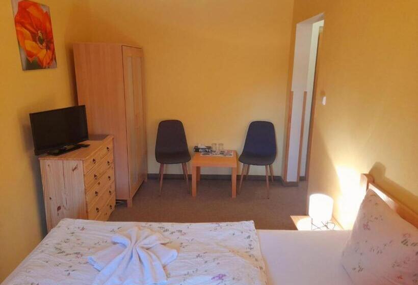 غرفة قياسية, Wellness Penzion Stonozka