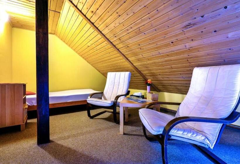 غرفة قياسية ثلاثية, Wellness Penzion Stonozka