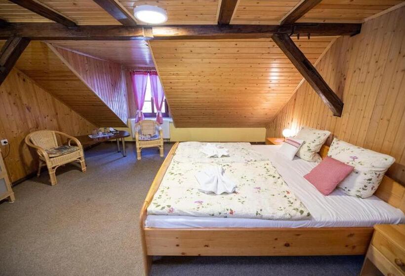 غرفة قياسية ثلاثية, Wellness Penzion Stonozka