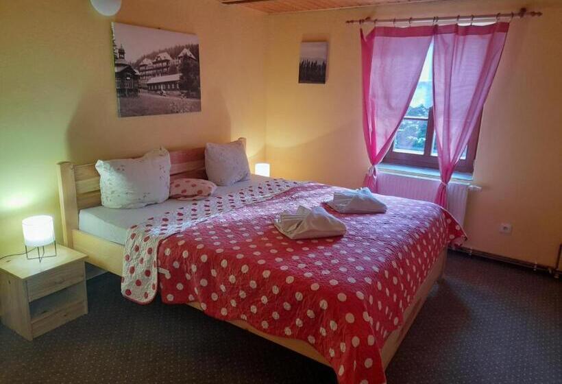 غرفة قياسية, Wellness Penzion Stonozka