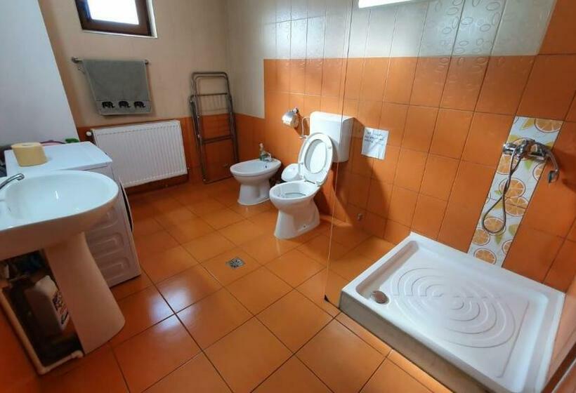Дом 4 Спальни, Popasul Găleșean