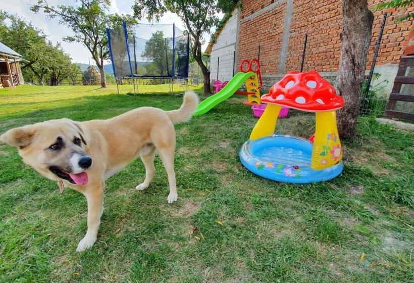 Дом 4 Спальни, Popasul Găleșean